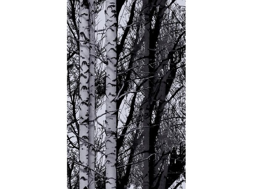 [90065283 1139647] d-c-fix Designfolie Wood 45 x 150 cm