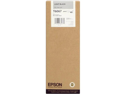 [90066081 241125] Epson Tinte C13T606700 Light Black
