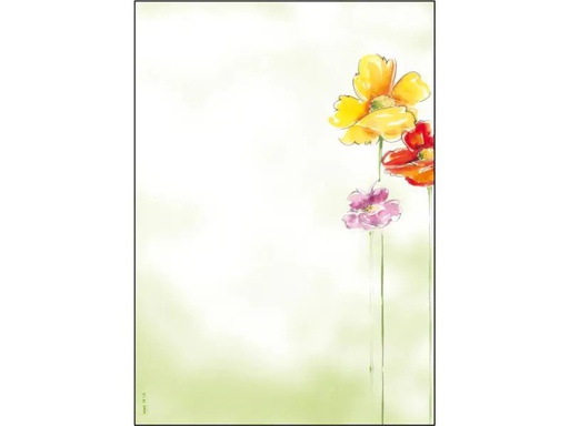 [90067128 1039678] Sigel Motivpapier Spring Flowers A4, 50 Blatt