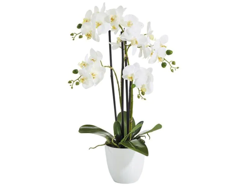 [90068916 1041364] Botanic-Haus Kunstblume Phalenopsis  im Topf, 4 Rispen, Weiss