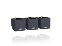 Lechuza Blumentopf Green Wall Home Kit CO Schwarz