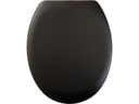 diaqua® Toilettensitz Race Slow Down Schwarz matt