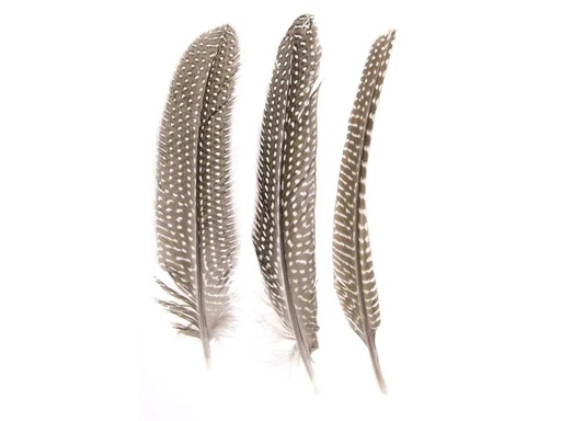 [90073907 628840] Glorex Federn Perlhuhn 16-18 cm