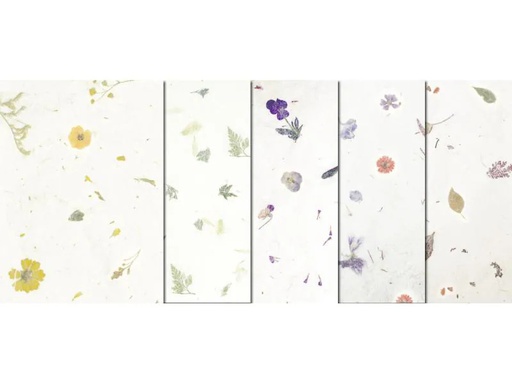 [90073959 921380] URSUS Bastelpapier Botanica 23 x 33 cm, 35 g/m², 5 Blatt