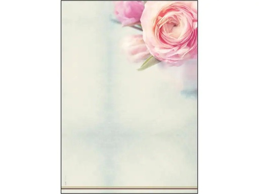 [90074408 1039669] Sigel Motivpapier Rose Garden A4, 50 Blatt