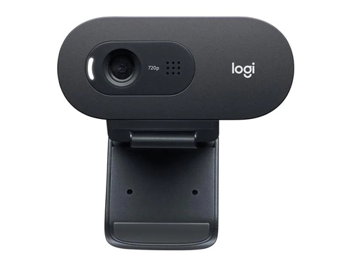 [90074529 1144171] Logitech Webcam C505e HD Bulk