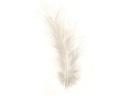 Glorex Federn Marabu Weiss