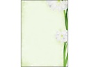 Sigel Motivpapier Green Flower A4, 25 Blatt