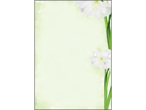 [90077474 1039696] Sigel Motivpapier Green Flower A4, 25 Blatt