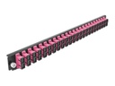 Delock Verteilerplatte Frontblende 24 Port SC Duplex OM4 MM violett