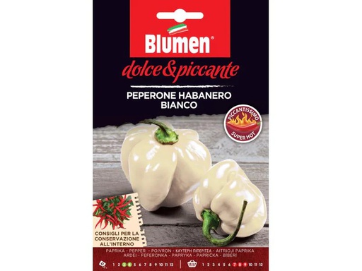 [90079649 848192] Blumen Samen Paprika Habanero Bianco