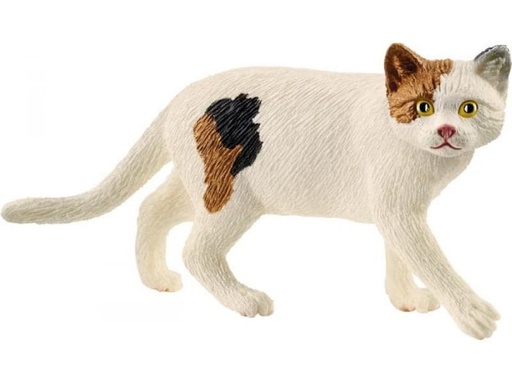[90080376 1078457] Schleich Spielzeugfigur Farm World Amerikanische Kurzhaarkatze