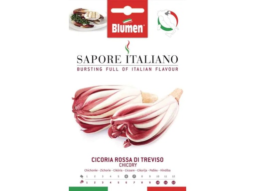 [90082895 848199] Blumen Samen Zichorie Rossa di Treviso