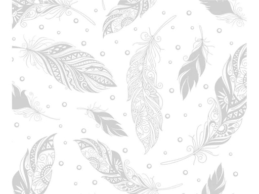 [90083140 741614] URSUS Zauberpapier 250 g/m2 10 Blatt, Weiss, Federn