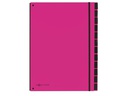 Pagna Ordnungsmappe A4 Trend Pink, 12 Fächer