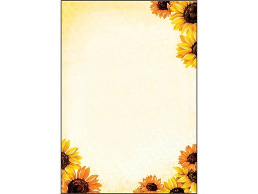 [90000933 1039683] Sigel Motivpapier Field of Sun A4, 50 Blatt