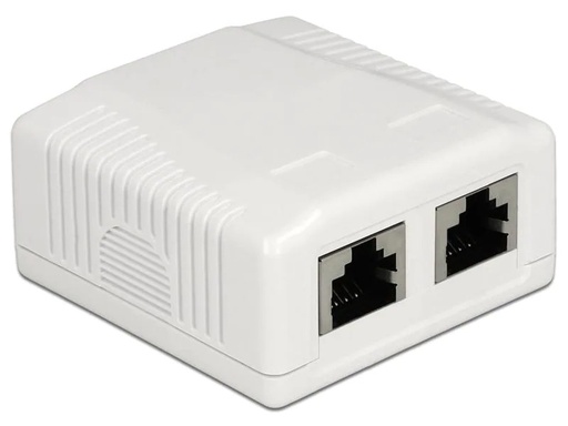 [90009581 561128] Delock Gehäuse RJ45 Cat.6A LSA 2-fach