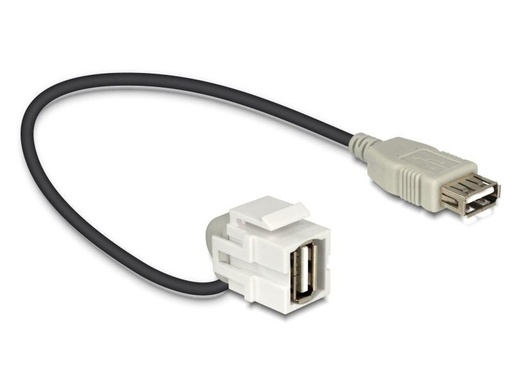 [90096095 602914] Delock Keystone-Modul USB2.0, A - A, (f-f) 110° gewinkelt, Weiss