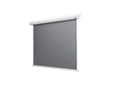 Celexon Tension-Leinwand HomeCinema Dynamic Slate ALR 221x124cm 16:9